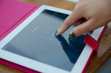 Close-up of female hands touching digital tablet