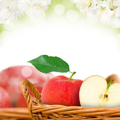 Apples