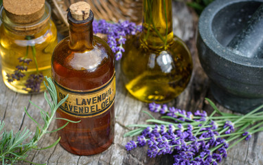 Verarbeitung von frischem Lavendel