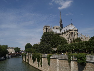 Fototapeta na wymiar Catedral de Notre Dame en París