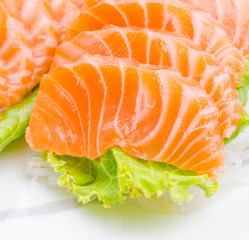 Salmon sashimi