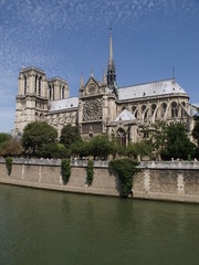 Naklejka premium Catedral de Notre Dame en París