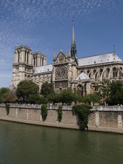 Naklejka premium Catedral de Notre Dame en París