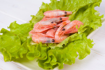 Shrimps
