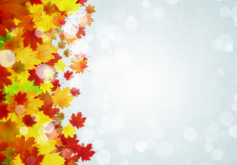 Autumn leaves