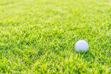 Golf ball on green grass