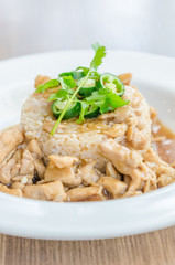 Chicken with brown sauce on rice