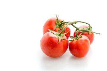 Tomato isolated on white