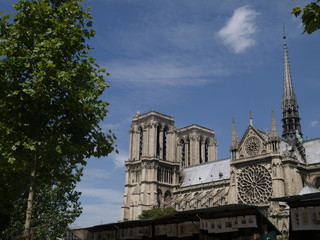 Catedral de Notre Dame en París