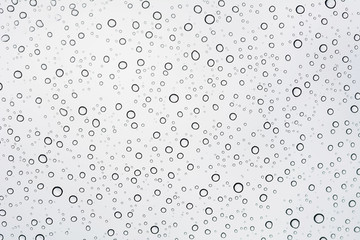 Background of water drop on white shades