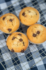 Home made tasty chocolate chip muffins on cooling rack