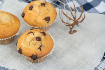 Tasty home made muffins with whisk covered in melting chocolate