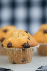 Tasty home made chocolatechip muffins