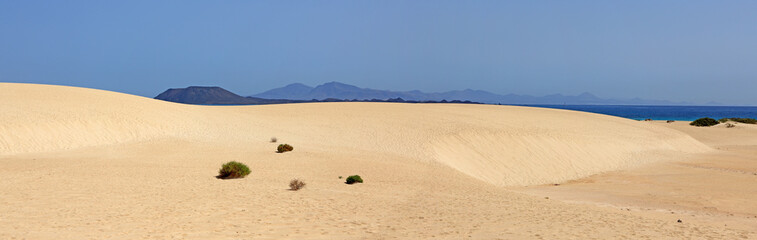 dunes de sable des îles canaries