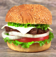hamburger - 66281619