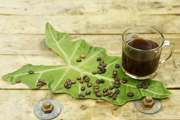 Nontoxic black coffee and coffee bean on elephant ear leaf