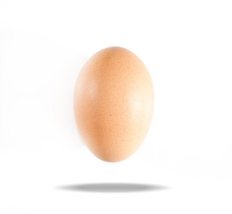 Close up of an egg isolated on white background