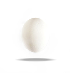 Close up of an egg isolated on white background