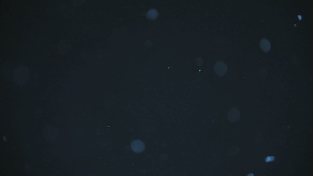 ホコリ