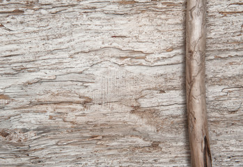 Dry branch on the old wood