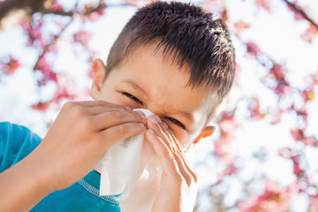 Little boy sneezing