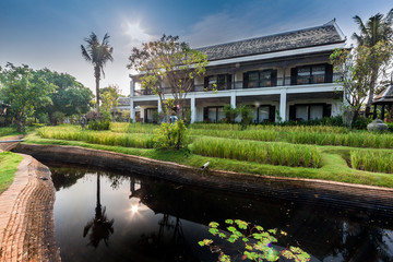 Green rice field in the villa,Thailand