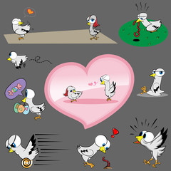 Birds Cartoon lifestyle