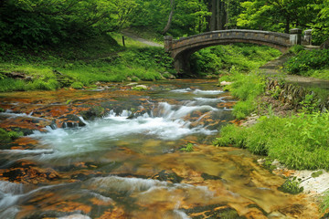 Fototapeta na wymiar 洗心渓と河鹿橋