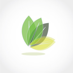 leaf icon vector