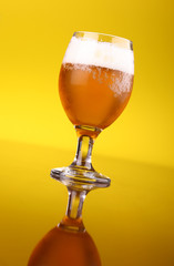 Glass of beer