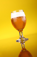 Glass of beer