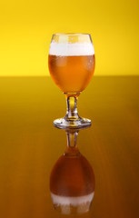 Glass of beer