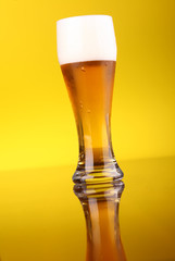 Glass of beer