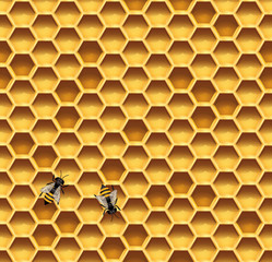 Honeycomb and bees seamless vector background