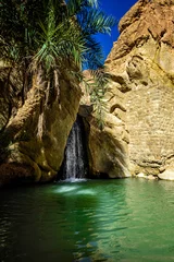 Fotobehang Waterval Chebika Tunesië © robertobinetti70