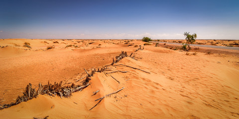 Fototapeta na wymiar Desert Tunisia