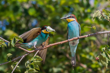 the gift of love