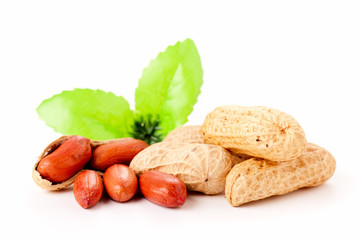 Peanut