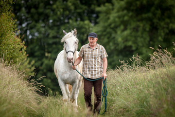 Pferd führen