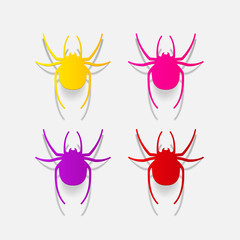 realistic design element: spider