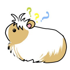 モルモットのイラスト／はてな