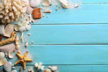 Seashells on wood