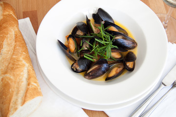 Mussels