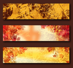 Set of three horizontal autumn banners