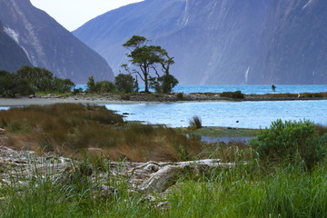 Mitre Peak