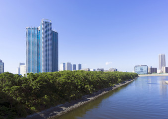 Naklejka premium 建設ラッシュの湾岸エリア 高層マンションイメージ