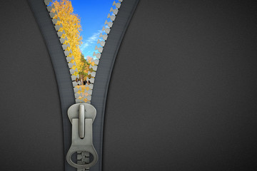 3 D zipper © Sergey Nivens