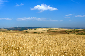 Sardegna, Trexenta, Suelli, paesaggio rurale