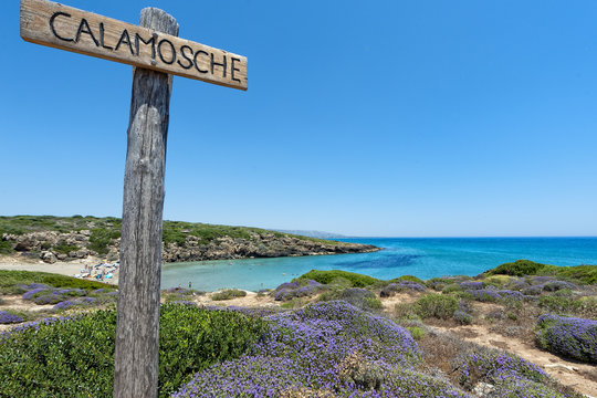 calamosche beach in Sicily Italy