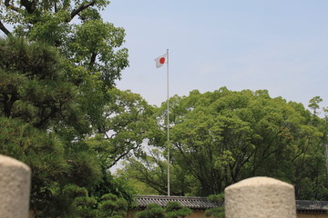 Fototapeta premium 日本国旗